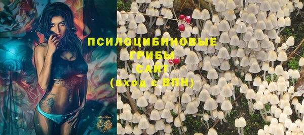 ешки Абаза