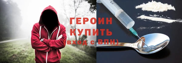 хмурый Пересвет