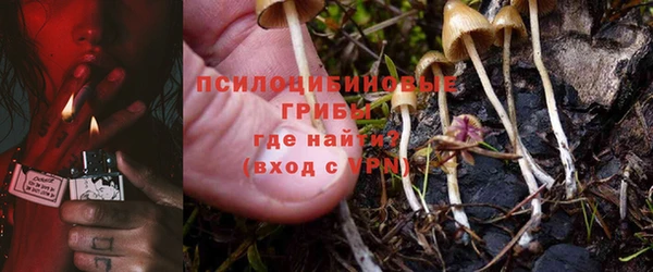 тгк Абдулино