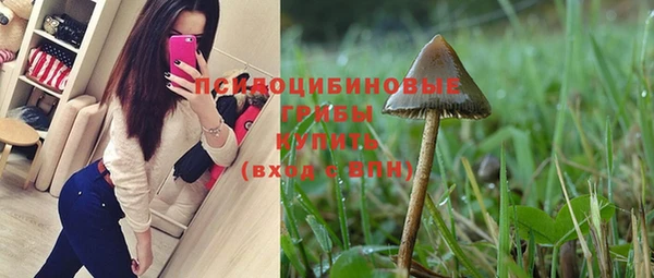 ешки Абаза
